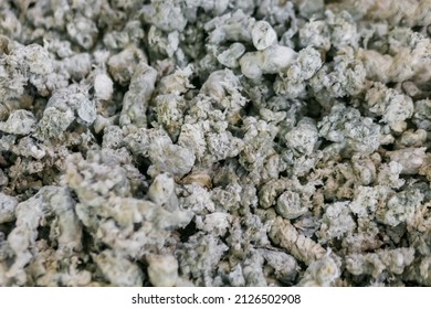 Close Up Top View: Plastic Recycling, Renewable Resource - Heap Of Secondary Soft Plastic Granules - Polystyrene, Polyethylene, Polypropylene Pellets At Exhibition, Trade Show