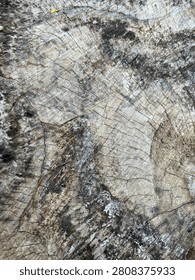 A close up top view of a weathered tree trunk cross-section showing natural cracked wood grain patterns and growth rings.