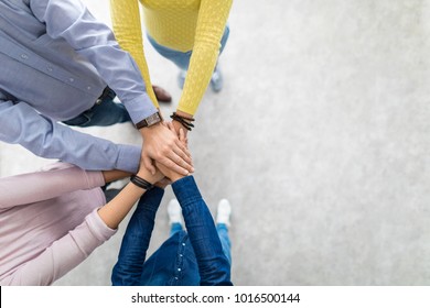 Close up top view of young business people putting their hands together. Stack of hands. Unity and teamwork concept. - Shutterstock ID 1016500144