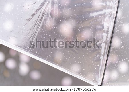 Close up of transparent umbrella with blurry background of fallen pink cherry blossom 
