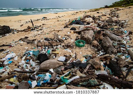 Close up of trash covering a tide line on a beach in Hawaiian Islands Humpback Whale National Marine Sanctuary