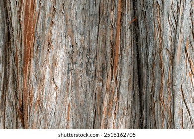 Close up of a tree bark with deep cracks as background