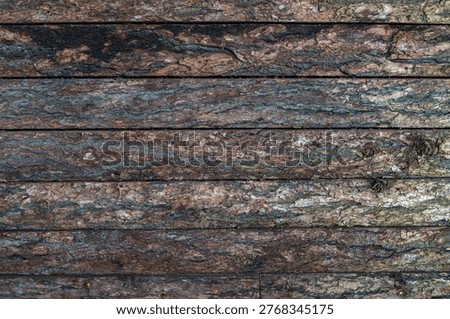 Close up of tree bark texture forming a natural pattern. The rough surface shows organic details, lines and color variations. Suitable for themes like background, texture, nature and design.