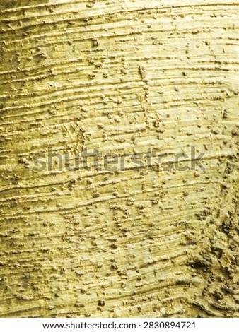 close up tree bark texture pattern with greenish brown color. natural abstract background wallpaper