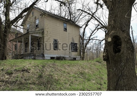 Close up of a tree with a hole, next to an abandoned house in an abandoned town.