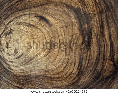 Close up of tree timber circle pattern taken from a tree trunk. Dark wood log circle veins with dark and black color. Seamless wood background texture.