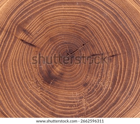 A close up of a tree trunk with a large hole in the center. The wood grain is visible and the hole is surrounded by a ring of wood. Concept of natural beauty and the passage of time