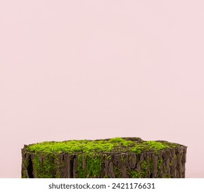 Close up Tree wooden cut covered by green mossy. standing Podium in Pink studio background backdrop  - Powered by Shutterstock