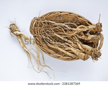 Close up of trimmed raw balloon flower roots on bamboo basket and one on white floor, South Korea
