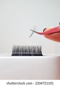 Close Up Of Tweezer With Bunch Of Fake Lashes For Eyelash Extensions . 