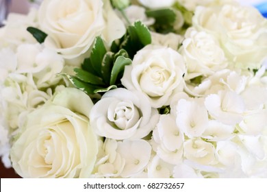 Close Up Of Two Dozen White Roses In A Bouquet