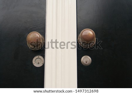 Close Up of Two Front Doors
