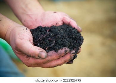 close up of two hands full of black soil with worms, carbon farming