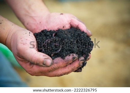 close up of two hands full of black soil with worms