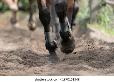 Close up of two moving hoofs from a dark brown horse taken from a low angle that are throwing some sand up in the air while walking with a row of horses behind it in a certain depth of field.