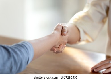Close up two women handshaking, making business agreement, establishing partnership after negotiations in office. Female hr manager greeting job seeker at interview or making offer, employment process