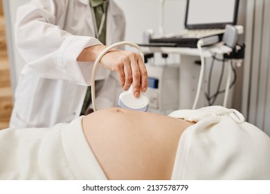 Close up of ultrasound examination of pregnant woman with focus on doctor holding transducer to belly, copy space