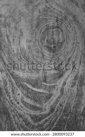 close up of the unique texture of naturally occurring old wood.
