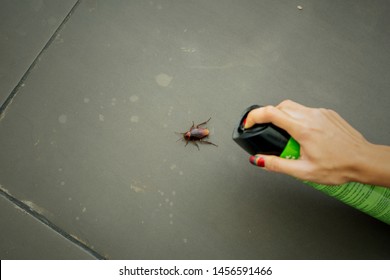 Close Up Of Unknown Woman Using Poisonous Spray To Kill Cockroach At Home
