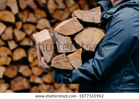 Close up of unrecognizable man dressed in jacket carries bundle of firewood, going to make fire outdoor. Winter is coming.