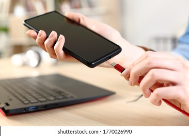 Close uo of woman hands plugging usb c battery charger cord on a smart phone at home