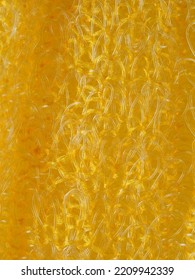 close up, background, texture, large vertical banner. heterogeneous surface structure bright saturated yellow sponge for washing dishes, kitchen, bath. full depth of field. high resolution photo - Shutterstock ID 2209942339
