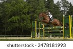 CLOSE UP: Beautiful chestnut horse jumping over fence and performing in competitive event in outdoors sandy parkour riding arena. Powerful gelding competing in horseback riding in manege