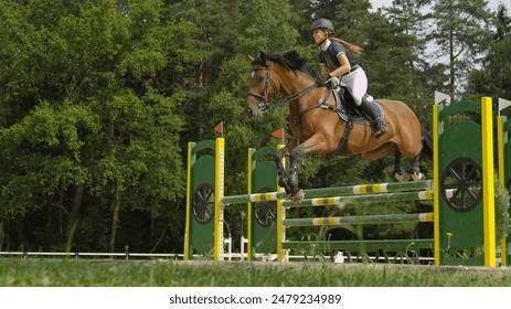 CLOSE UP: Beautiful chestnut horse jumping over fence and performing in competitive event in outdoors sandy parkour riding arena. Powerful gelding competing in horseback riding in manege - Powered by Shutterstock