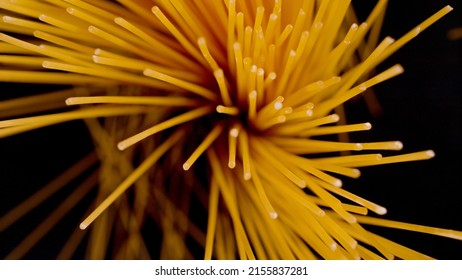 CLOSE UP, BOKEH: Top Down View Of Dropped Spaghetti Sheaf On Black Background. Famous Italian Pasta Ready For Cooking And Preparing Delicious Dish. Falling Raw Spaghetti Sheaf In Shallow Focus.