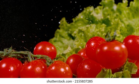 CLOSE UP, BOKEH: Water drops falling on ripe tomatoes and green lettuce in background. Fresh and healthy veggies sprinkled with water. A pile of juicy red tomatoes and lettuce on black background.