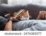 close up. brown and white cat with yellow eyes lying on a man,s chest with a book on his head