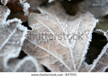 Similar – Foto Bild Der Frost geht weg. Winter