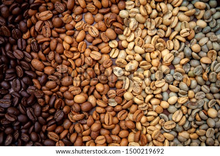 Close up. Different levels (types) of roasting coffee beans (arabica) on a plate starting from the left from the darkest (strong roasting) to the right to the lightest (raw coffee beans). Milan, Italy