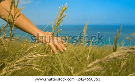 CLOSE UP, DOF: Female hand gently touches tall green grass on top of the cliff on a sunny summer day. Young lady has a pleasant walk on lush grassy clifftop on beautiful coastline of South England.