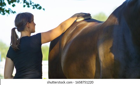 CLOSE UP, DOF: Happy smiling young woman owner brushing and grooming her stunning mighty muscular stallion. Female owner cleaning beautiful and healthy shiny horse coat with natural brush