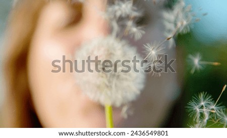 CLOSE UP, DOF: Soft focus of a wishful woman blowing on a dandelion, white seeds scattering in the air. Unrecognizable young woman makes a wish and blows air at a fully blossomed dandelion flower.