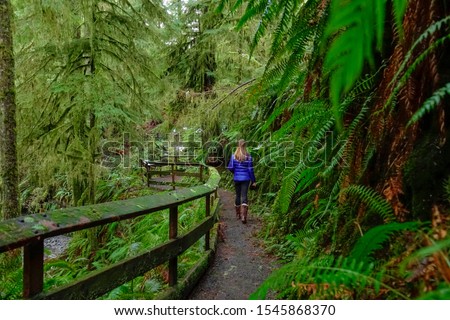 CLOSE UP, DOF: Unrecognizable female photographer treks along a scenic boardwalk deep in the lush Hoh Rainforest. Woman on trekking trip in Olympic National Park walks along an empty hiking trail.