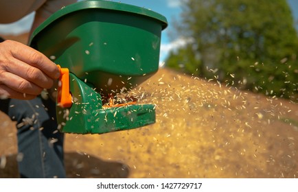 CLOSE UP, DOF: Unrecognizable Person Sowing Grass Seeds With A Green Plastic Device. Gardener Sowing Small Vegetable Seeds On A Sunny Spring Afternoon. Farmer Sowing Grain In A Fertile Patch Of Soil