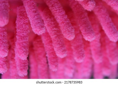 Close Up, A Feather Duster That Has A Beautiful Texture