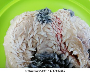 Close Up. Fresh Raw Beef Cheek Or Beef Lips In A Green Bowl. Selective Focus