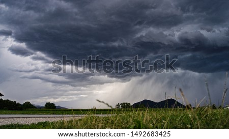 CLOSE UP: Idyllic agricultural farmland with lush maize fields in gorgeous green valley surrounded by forested mountains on stormy summer day. Grass blades swaying in the wind on bad weather evening