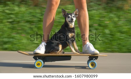 Similar – Image, Stock Photo Skateboard close-up