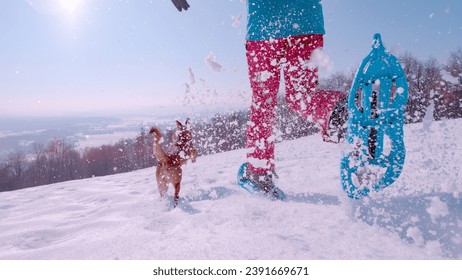 CLOSE UP, LOW ANGLE VIEW: Joyful run of a lady and her dog above snowy valley. Active woman is running in blue snowshoes with her brown doggo by side. Beautiful winter day for outdoor activities.