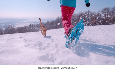 CLOSE UP, LOW ANGLE VIEW: Brown dog and a woman enjoy running in fresh snow. Active lady is snowshoeing in the snowy countryside on a beautiful sunny winter day with playful young doggo by her side.
