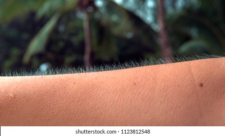 CLOSE UP, MACRO, DOF: Unknown Adult Person Twists And Turns Their Arm To Show Their Goosebumps. Young Female Shivers In The Chilly Breeze Coming From The Ocean. Woman Gets Cold And Starts Trembling.