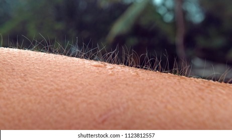 CLOSE UP, MACRO, DOF: Unknown Caucasian Person Gets Goosebumps During A Cold Tropical Rainstorm. Close Up Shot Of Arm Hair Fluttering In The Breeze As Unrecognizable Girl Can't Escape The Cold Rain.