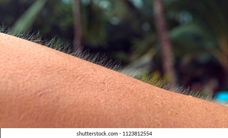 CLOSE UP, MACRO, DOF: Unrecognizable Young Female Trembles In The Cold Weather On Tropical Beach. Gentle Summer Breeze Makes Unknown Caucasian Person Get Goosebumps. Scared Woman's Raised Arm Hair.