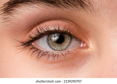 Close up, macro photo of o female eye, iris, pupil, eye lashes, eye lids. - Shutterstock ID 2139290707