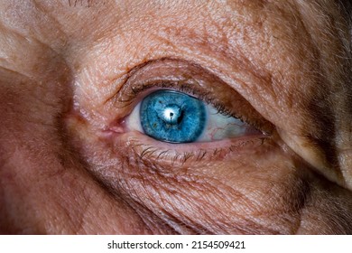 Close up, macro photo of a senior female blue color eyes, iris, pupil, eye lashes, eye lids. - Shutterstock ID 2154509421