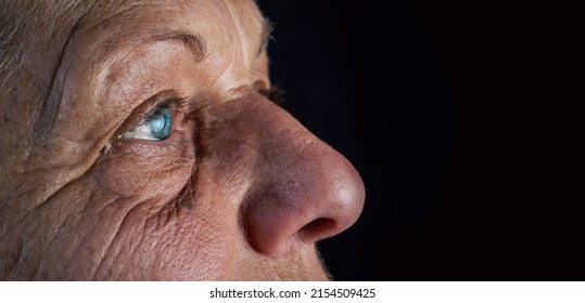 Close up, macro photo of a senior female color eyes, iris, pupil, eye lashes, eye lids. - Powered by Shutterstock